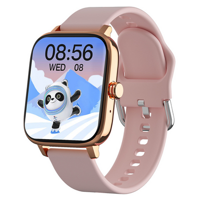 Multifunction Smartwatch |  "Titanium"