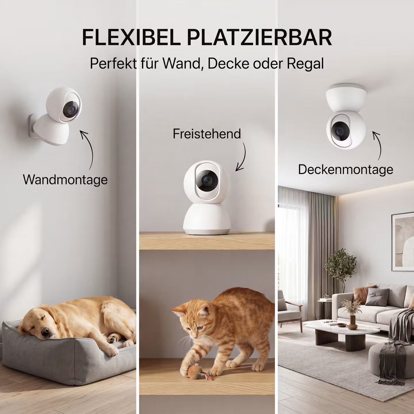 Echooria™ PetWatch Pro - Smart Wi-Fi Dog Camera with Night Vision & App Control