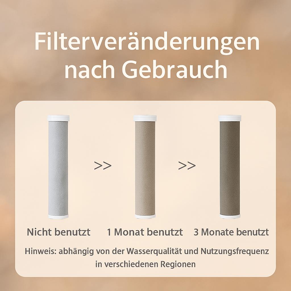 ECHOORIA™ 3-in-1 filter shower system