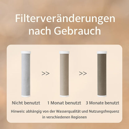 ECHOORIA™ 3-in-1 filter shower system